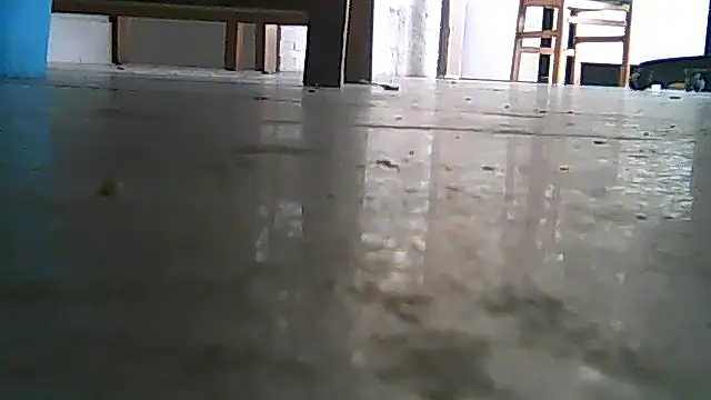 SirFrankonde webcam