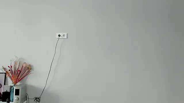 ailey_chao webcam