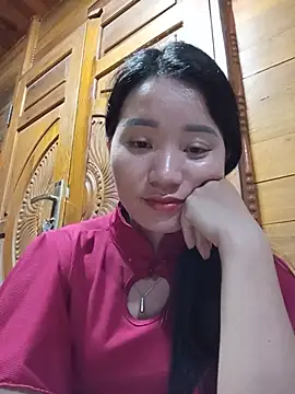 Td3di webcam