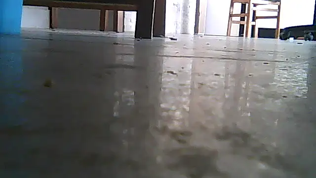 SirFrankonde webcam
