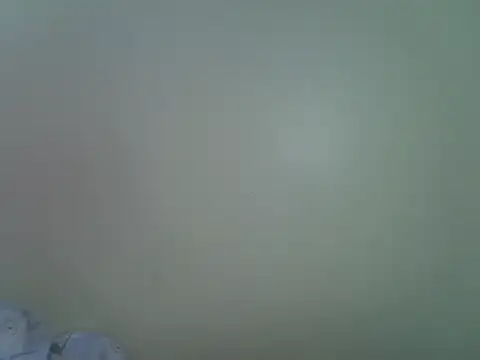 merc_berry webcam
