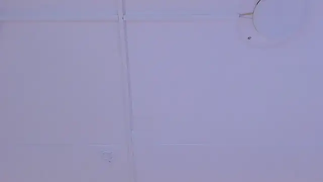 TokyoHaskel webcam