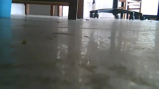 SirFrankonde webcam