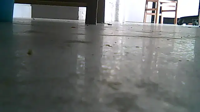 SirFrankonde webcam