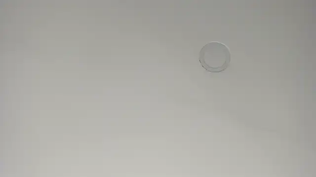 kitty_cat_7 webcam