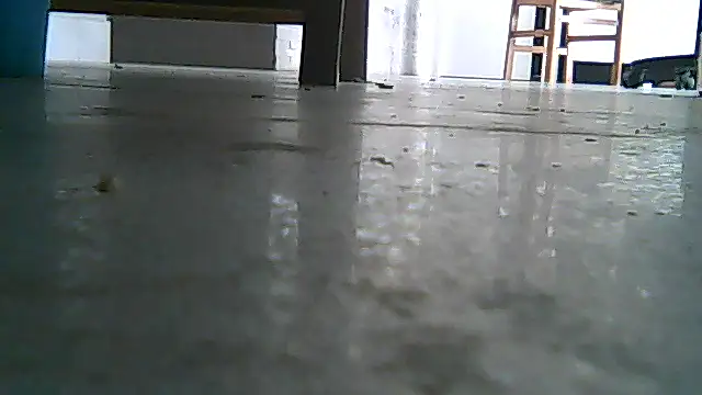 SirFrankonde webcam