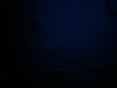VickyWalles webcam