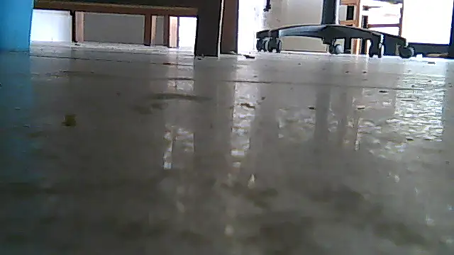 SirFrankonde webcam