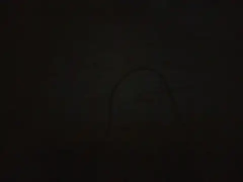 SEXYBLACKY-1 webcam
