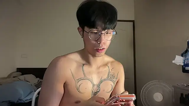 Zuii_310 webcam