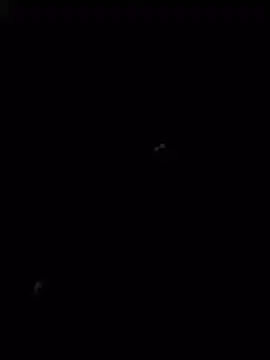 NutlikePith webcam
