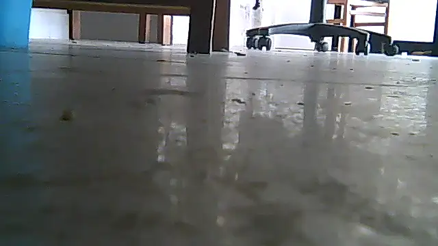 SirFrankonde webcam