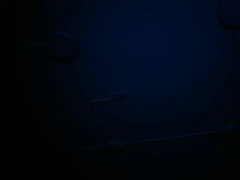 VickyWalles webcam