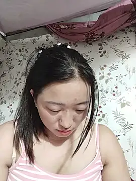 zhen-zo webcam