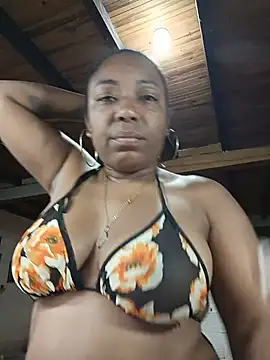ChanneldelaCroix webcam