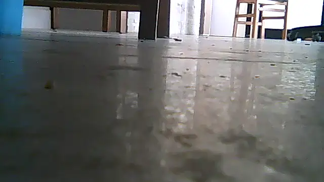 SirFrankonde webcam
