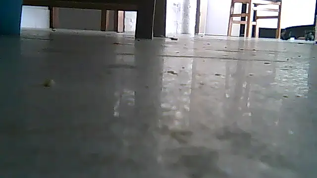 SirFrankonde webcam