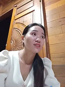 Td3di webcam