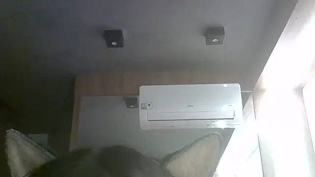 SkinnyKitten live cam