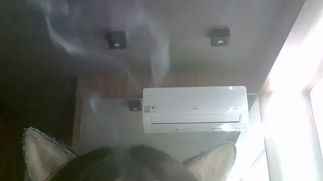 SkinnyKitten live cam