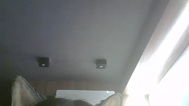 SkinnyKitten webcam