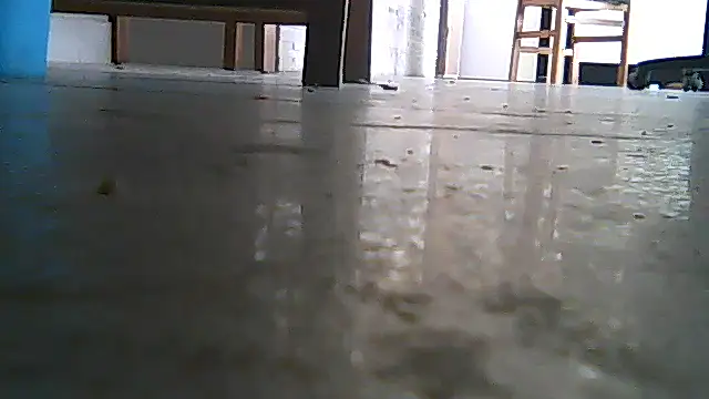 SirFrankonde webcam