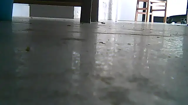 SirFrankonde webcam