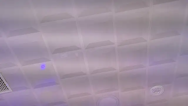 _MileyRoss webcam