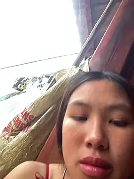 hoa_mai webcam