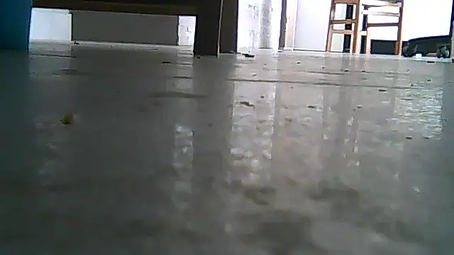 SirFrankonde webcam