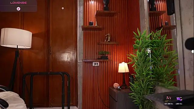 David_capizzi_ webcam