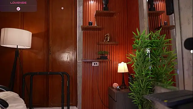 David_capizzi_ webcam