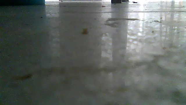 SirFrankonde webcam