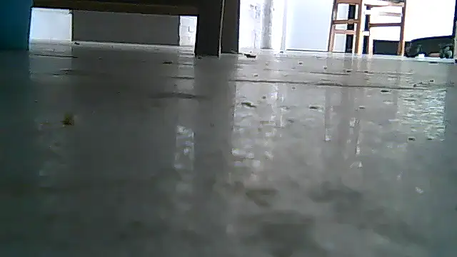 SirFrankonde webcam