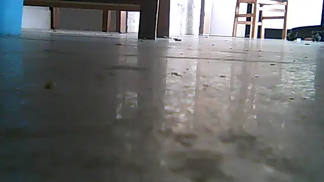 SirFrankonde webcam