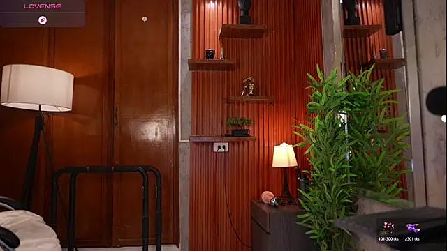David_capizzi_ webcam