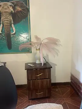 alisaa_jhons1 webcam