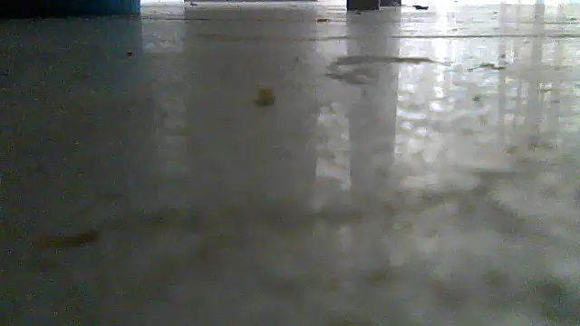 SirFrankonde webcam