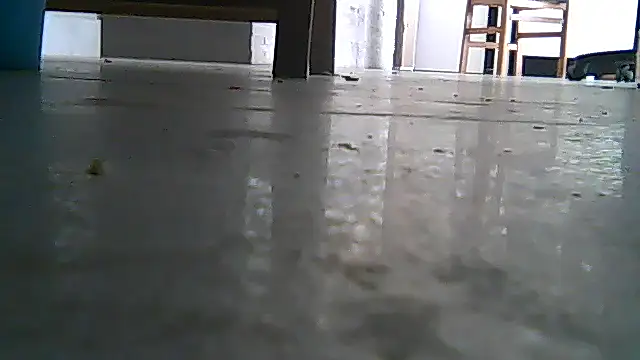 SirFrankonde webcam