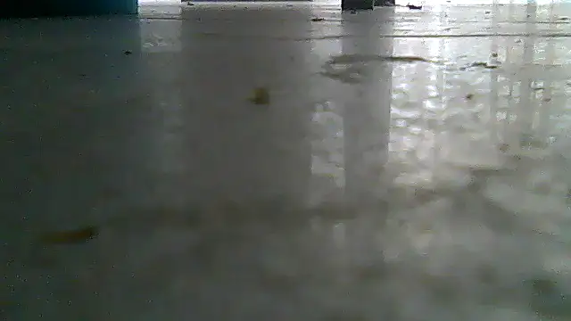 SirFrankonde webcam