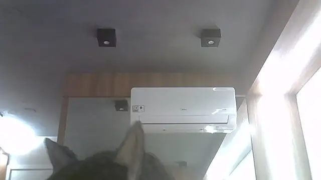 SkinnyKitten live cam