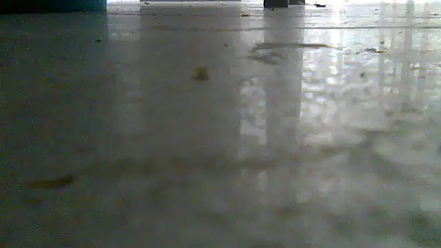 SirFrankonde webcam