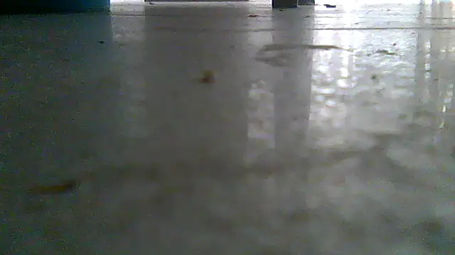 SirFrankonde webcam