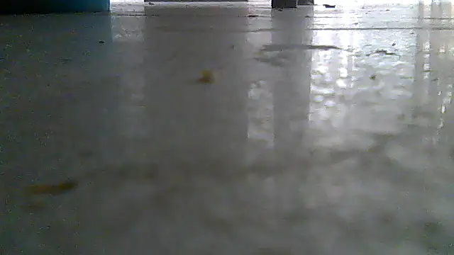 SirFrankonde webcam