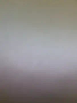 dalou3a22 live cam