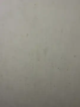 dickmaster8782 webcam