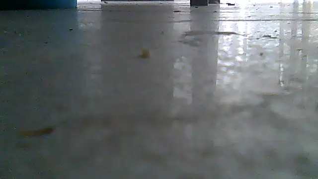 SirFrankonde webcam