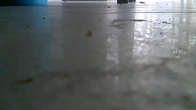SirFrankonde webcam