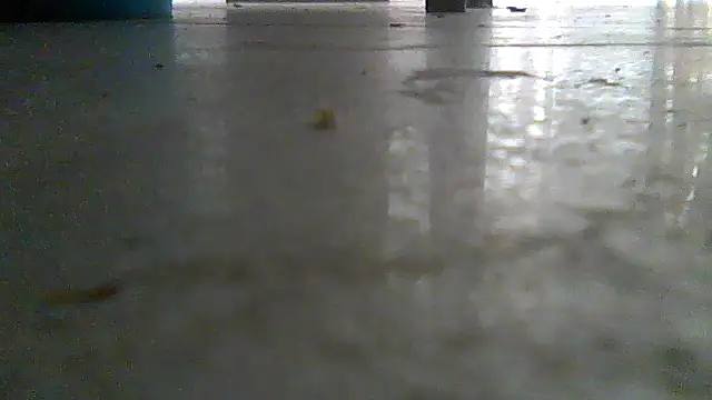 SirFrankonde webcam