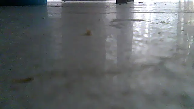 SirFrankonde webcam